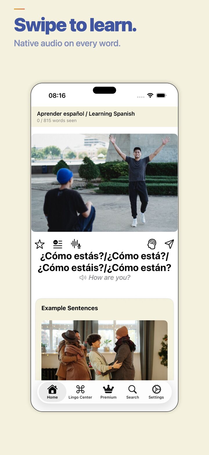 LingoSwipe vocabulary flashcard app