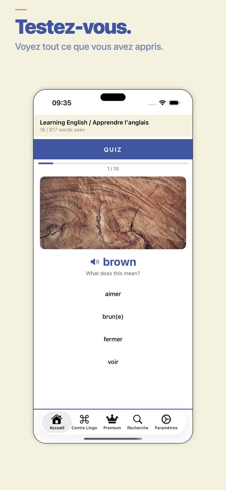 Vocabulary quiz — test what you've learned