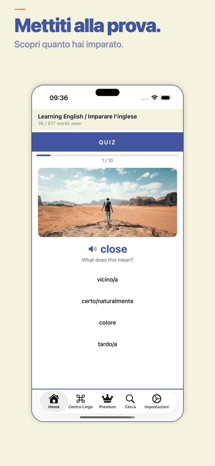 Vocabulary quiz — test what you've learned